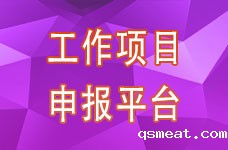 工作项目申报平台